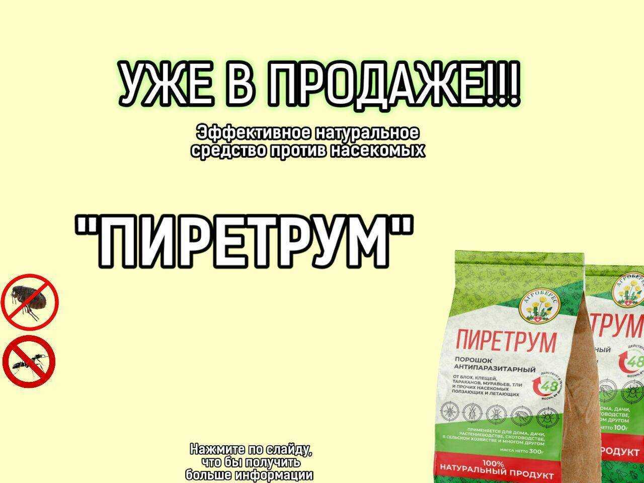 Уничтожаем клопов порошками