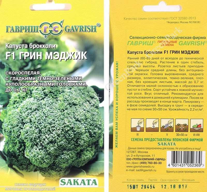 Лучшие сорта капусты брокколи: описание с фото для разных регионов и сроков созревания