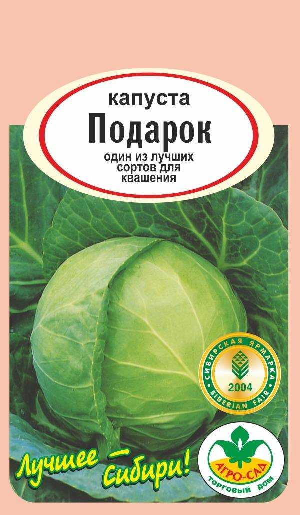 Капуста слава: описание, характеристика и фото сорта 1305 и 231, схема посадки, выращивание, и ранний или поздний по сроку созревания, когда сеять белокочанный овощ?