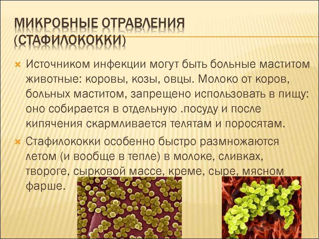 Свойства и применение мёда в сотах