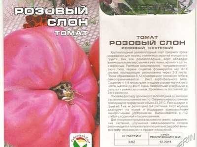 Сорт томата «розовый слон»  – отзывы, фото, описание помидора