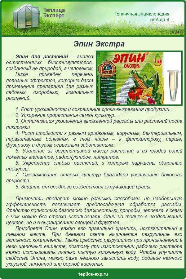 Эпин экстра: инструкция по применению для рассады, методы использования