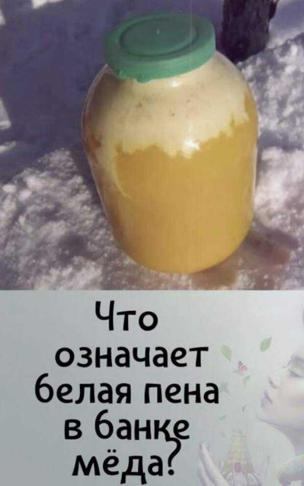 Почему появляется белая пена на поверхности мёда. что делать если забродил мед