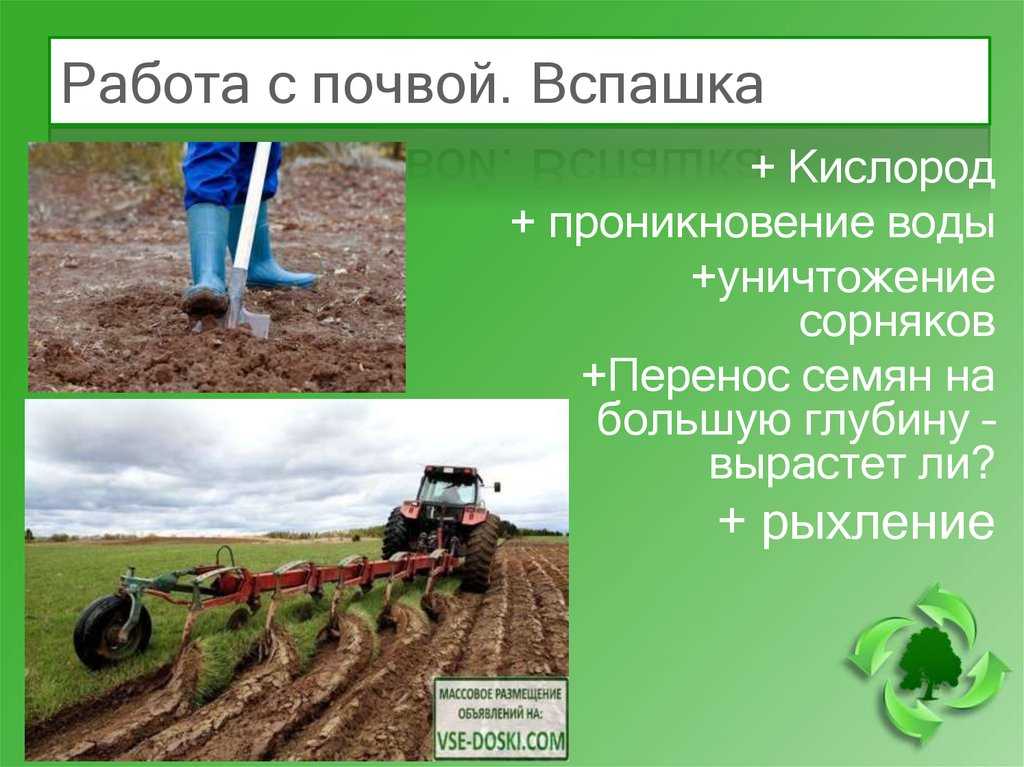 Почва под картофель: советы и рекомендации по подготовке