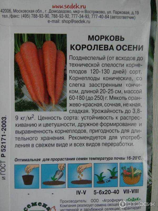 Морковь "королева осени": описание и характеристика, достоинства и минусы, отличия от других сортов, выращивание, болезни и вредители, сбор урожая русский фермер