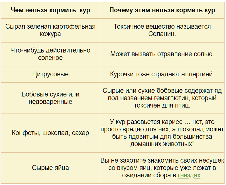 Кормление цыплят бройлеров, уход за ними в домашних условиях и болезни от неправильного рациона, особенности питания породы в разном возрасте selo.guru — интернет портал о сельском хозяйстве