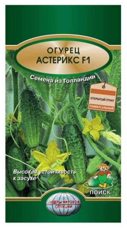 Огурцы астерикс f1: характеристика, правила выращивания, советы огородников