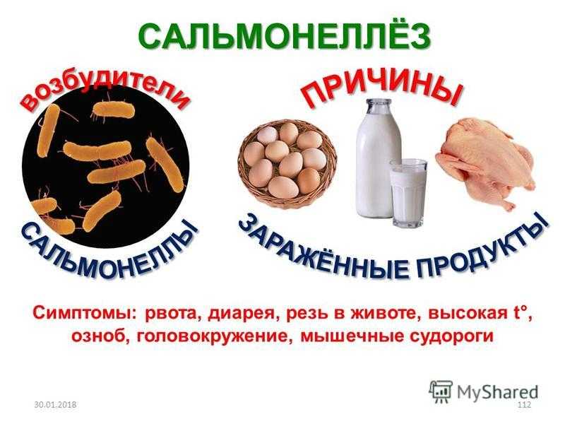 Сальмонелла (сальмонеллез): симптомы, диагностика, лечение | университетская клиника
