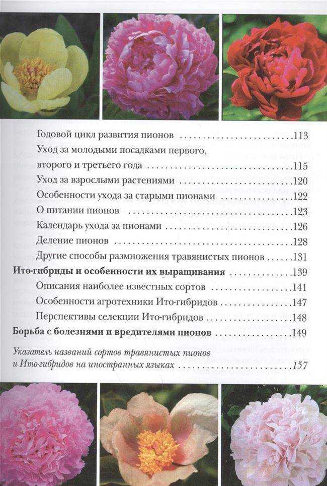 30 сортов пионов: описание и характеристика | фото +отзывы