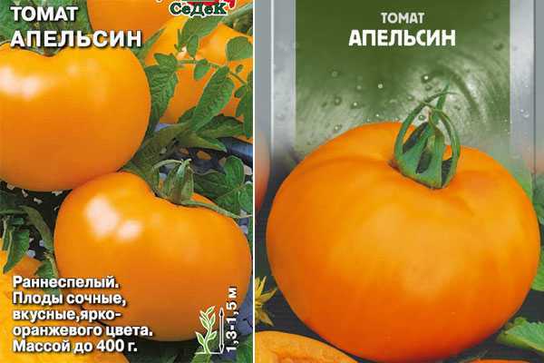 Томат канопус: характеристика и описание сорта, урожайность отзывы фото кто сажал