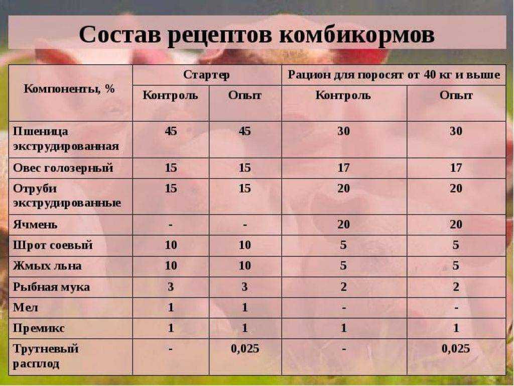 Как приготовить корм для бройлеров в домашних условиях?