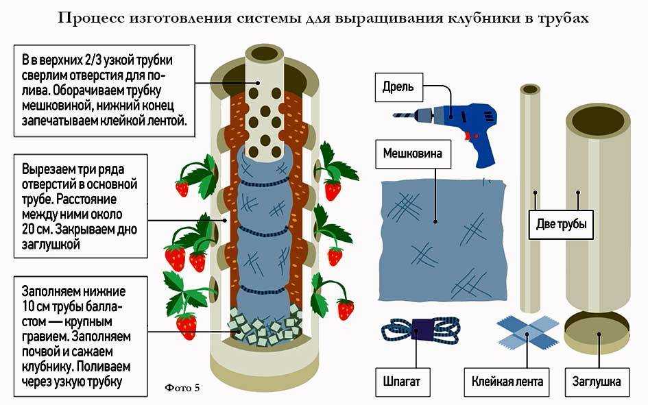 Выращивание клубники в трубах пвх горизонтально