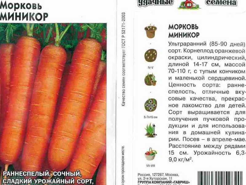 Как правильно выбрать сорт моркови для сибири, подмосковья и юга россии