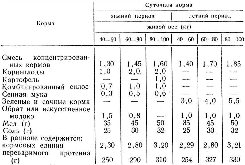 Отечная болезнь поросят: симптомы и лечение