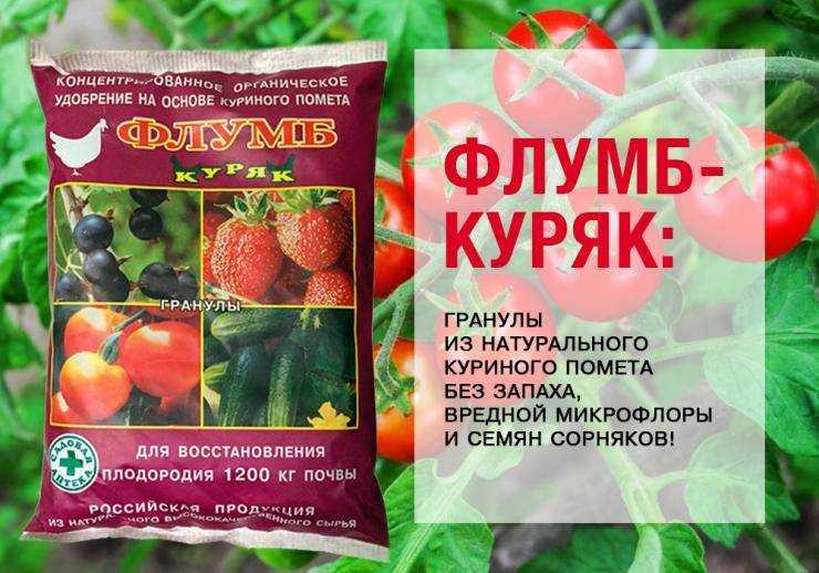 Как применять куриный помет в качестве удобрения для растений