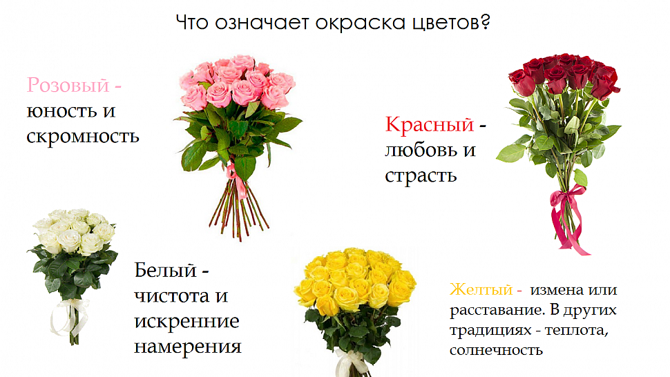 7 идеальных сортов роз для огненного цветника. жёлтые, оранжевые и красные сорта роз. фото — ботаничка