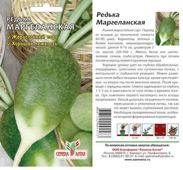 20 вкусных и полезных салатов из редьки