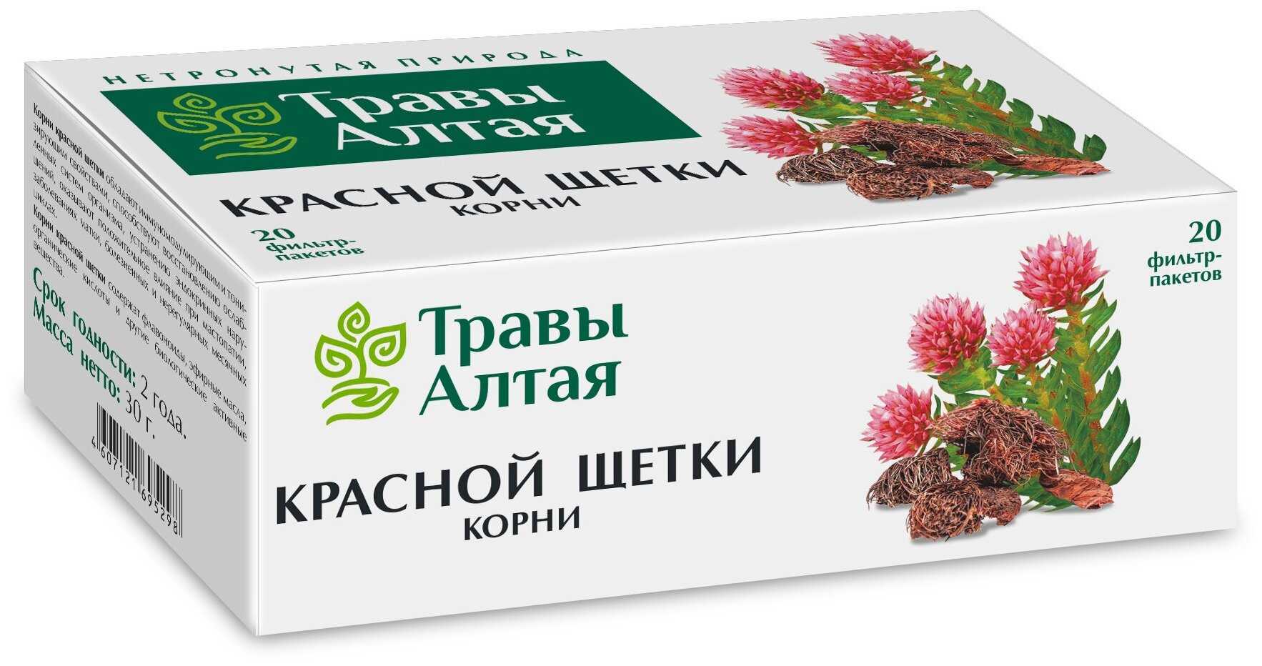Красная щетка (родиола) - полезные свойства, состав и противопоказания (+4 фото)