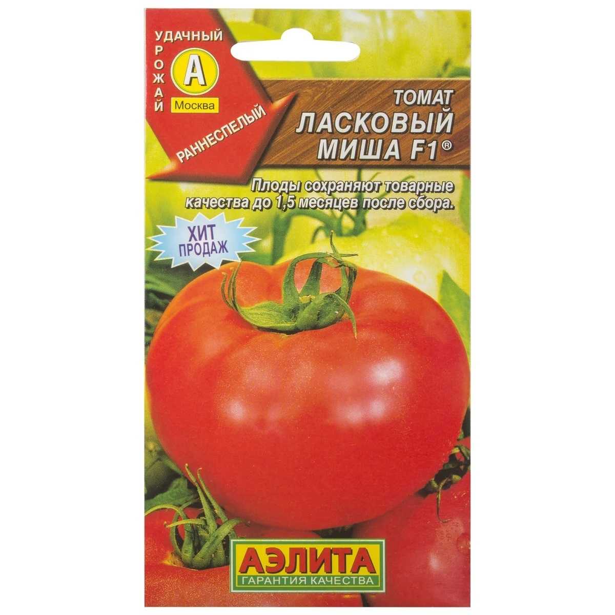 Томат ласковый миша: характеристика и описание сорта, фото, отзывы, урожайность, достоинства и недостатки