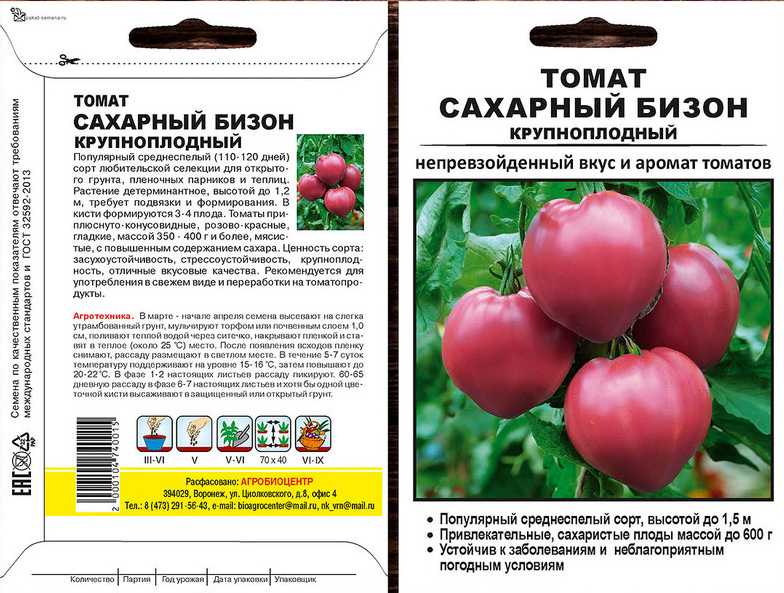 Характеристика томата сахарный бизон и особенности выращивания