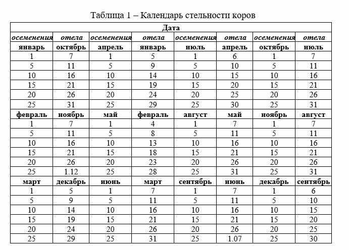 Отел коровы: основные признаки, подготовка, таблица отела