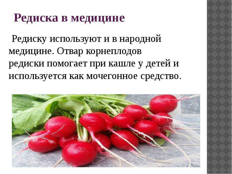 Узнаем, почему редис уходит в цвет и ботву: что делать, если не завязываются плоды (не образуется и не растет корнеплод), урожай горчит и чернеет внутри
