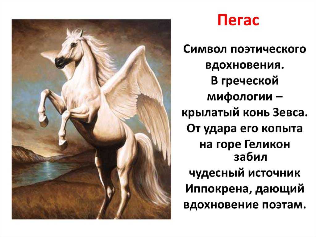 В чем отличие мерина от жеребца: как называется кастрированный конь